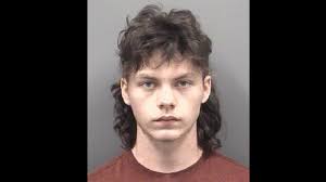 Teens charged for throwing rocks at vehicles