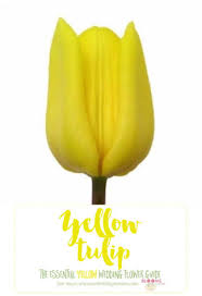 Types of yellow flowers for wedding. Names And Types Of Yellow Wedding Flowers With Pics Flower Tips