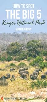 Find The Big 5 Kruger National Park Animals Hopscotch The Globe National Parks Africa Travel Africa Travel Safari