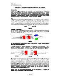 Effects Of Copper Sulphate On The Activity Of Catalase A Level Science Marked By Teachers Com