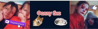 Kabuso is just your average cuddly web sensation. Create Meme Dog Doge The Breed Is Shiba Inu Pictures Meme Arsenal Com