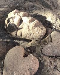 Natasha Uriah Moon (@natasha_a_wells) · Rio Rancho, NM