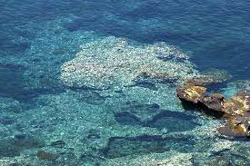 Le terrazze sul mare, ustica adasında yer ustica is beautiful and le terrazze sul mare wonderful. Che Acqua Ustica Picture Of Mare Nostrum Diving Ustica Ustica Tripadvisor