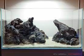 Aquascape With Lava Rock Desain Lanskap Akuarium Lanskap