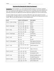 The order of the nucleotides determines the gene that an individual will have. Answer Key Snorks Doc Name Date How Does Dna Determine The Traits Of An Organism Introduction In This Simulation You Will Examine The Dna Sequence Of Course Hero