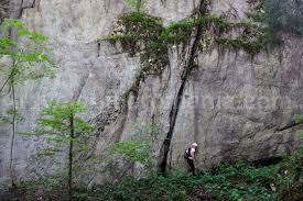 Muntii sunt locul de bastina al motilor, a caror origine se pierde in negurile vremii, acum mai bine de 4.000 de ani. Atractii Turistice Din Romania Muntii Apuseni Travelguideromania