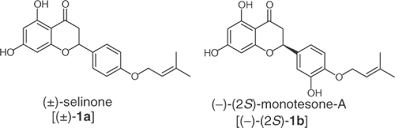 Image result for Monotes engleri