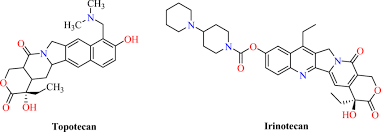 Image result for Topotecan