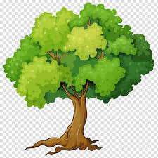 May 04, 2017 · free svg clipart & png icon. Png Clipart Transparent Background Tree Plan Png Novocom Top