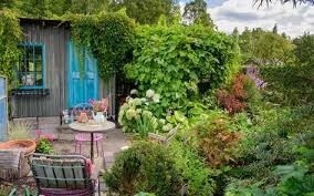 Epingle Par Manzel Pumpkin Sur Se An Jaden An Mwen An Ka Pwan Pie An Mwen En 2020 Cabane Jardin Idees Jardin Jardins
