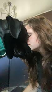 How can I focus when cuteness is nearby?