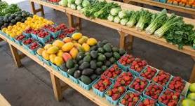 Captiva Island Farmers Market