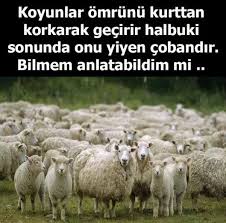 Fotograf Ilham Verici Sozler Resimli Alintilar Hoslanma Sozleri