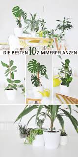 Pin Auf Tabitha Wuckert