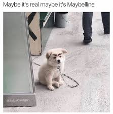 You're in the right place! Maybe It S Real Maybe Its Maybelline Meme Ahseeit