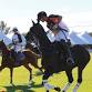 Bentley Scottsdale Polo Championships