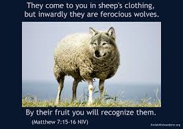 5 reminders from god's word. Detecting A Wolf In Sheep S Clothing Part 2 The Faithful Wanderer