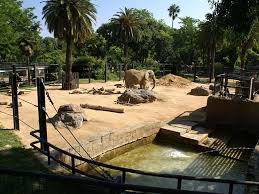 From regular visits to paid activities, the zoo offers different activities for everyone Barcelona Zoo Spain