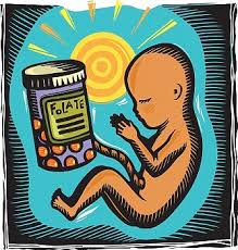 Картинки по запросу фолиевая кислота