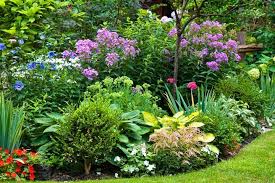 I Love These Ideas For Creating Gorgeous Garden Color Schemes I Am Updating My Garden Deco Colorful Garden Gorgeous Gardens Plants