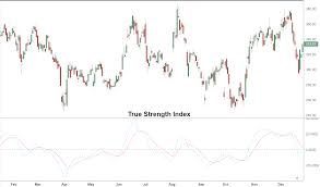 True Strength Index Tsi Definition And Uses