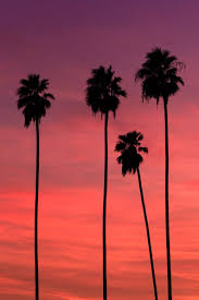 Minimalist Palm Tree Print Printable Art Surf Decor Etsy In 2020 California Wall Art Abstract Photography Palm Trees Wallpaper