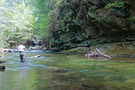 All georgia hotels georgia hotel deals last minute hotels in georgia by hotel type. Wilderness Trout Fishing On The Jacks River Coastal Angler The Angler Magazine