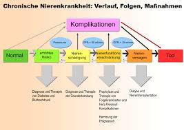 Lebenserwartung ohne dialyse auch bei patienten mit einer niereninsuffizienz ohne dialysetherapie hängt die lebenserwartung maßgeblich von grunderkrankung, begleiterkrankungen und alter der patienten ab. Chronisches Nierenversagen Wikipedia