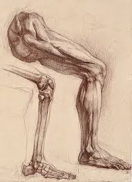 Http Vk Com Photo 16966189 265229206 Anatomy Sketches Human Anatomy Drawing Life Drawing