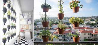 Design ideas for a contemporary kitchen in geelong. Balcony Vegetable Garden Ideas For Apartments Indroyal Properties