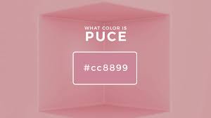 What Color Is Puce? About Puce Color (Updated 2023)