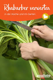 Rhabarber Verwerten In Der Kuche Und Im Garten Garten Garten Recycling Und Rhabarber Pflanzen