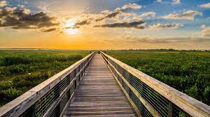 Paynes Prairie Preserve Is Set On 21 000 Beautiful Acres Just North Of Gainesville Florida Marked As A U S National Florida Adventures Florida Parks Florida