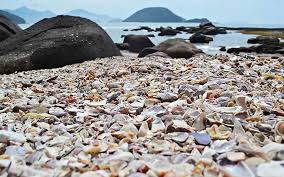 Praia das conchas is located in macae. Praias De Ubatuba As 19 Melhores Para Voce Visitar