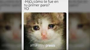 Maybe you would like to learn more about one of these? Fotos Los Memes Que Dejo El Paro Nacional Del 21 De Noviembre Minuto30 Com