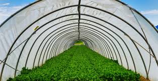 Instead, the windows are constructed of glass. How To Build A Simple Greenhouse With Recycled Materials