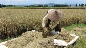 Pengertian kelompok sosial informal adalah kelompok sosial yang tidak menetapkan aturan untuk bergabung, menetap, dan meninggalkan group. Petani Masih Sulit Dapat Akses Modal Bisnis Liputan6 Com