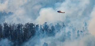 Billigflüge zum besten preis buchen, alle billigflüge im preisvergleich El Humo De Los Incendios En Australia Llega A Argentina