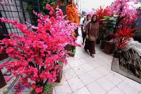 Maybe you would like to learn more about one of these? Wow 26 Gambar Bunga Sudut Ruang Tamu Gambar Bunga Indah