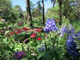 Maybe you would like to learn more about one of these? 10 Beautiful Gardens Of Austin Texas