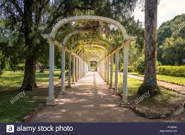 This serene garden hosts everything from orchids to. Jardim Botanico Botanischer Garten Rio De Janeiro Brasilien Stockfotografie Alamy