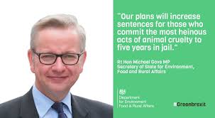 Robyn Sinclair (@Robynavich)