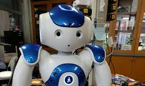 Los robots tienen el potencial de aventajarnos y destruir a la raza humana. Notre Futur Robot Nonfiction Fr Le Portail Des Livres Et Des Idees
