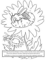 There are around 200 different known species, and new orchid bee species are discovered every year. Bee And Flower Pollinator Coloring Page Coloring Pages Kids Printable Coloring Pages Bee On Flower
