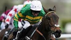 Image result for Kevin Blake is he bloodhorse literate?