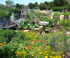 Maybe you would like to learn more about one of these? Bee Garden 101 How To Plant A Beautiful Bee Friendly Garden