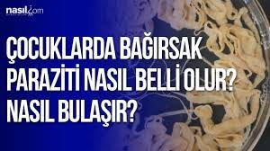 cocuklarda bagirsak paraziti nasil belli olur nasil bulasir youtube