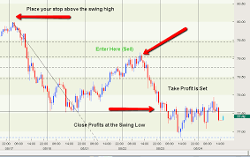 Develop An Equity And Risk Management Plan For Your Forex
