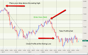 develop an equity and risk management plan for your forex