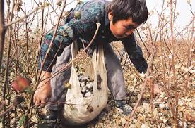 You can view the interactive map here. Indymedia Scotland Uk Students Target Top Shop To Redress Fashion